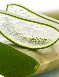 succo di aloe la saponaria
