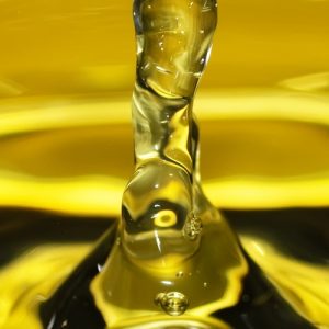 Caprylic Triglyceride Olio leggerissimo La Saponaria