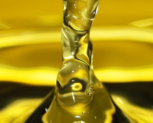 Caprylic Triglyceride Olio leggerissimo La Saponaria