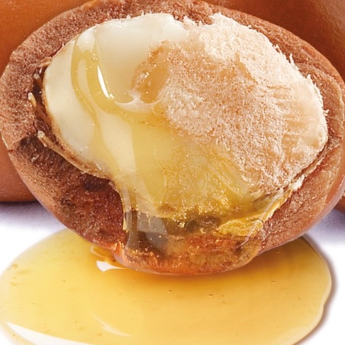 Olio di Argan 100% puro Antos