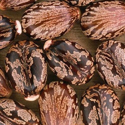 Olio di Ricino rinforzante ed elasticizzante La Saponaria