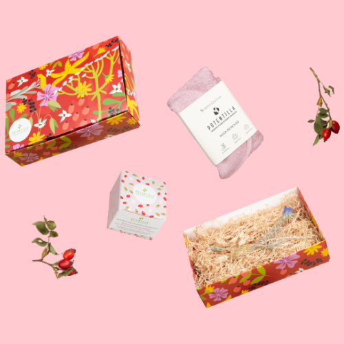 Kit regalo Pink Hug Potentilla